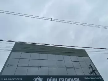 Imagem de SALÃO COMERCIAL